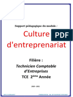 Cours Culture Entreprenariat TCE