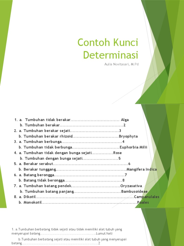 Contoh Kunci Determinasi PDF