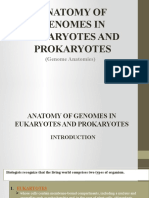 Anatomy of Genomes in Eukaryotes and Prokaryotes: (Genome Anatomies)