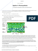 AP Biology - Investigation 5 - Photosynthesis