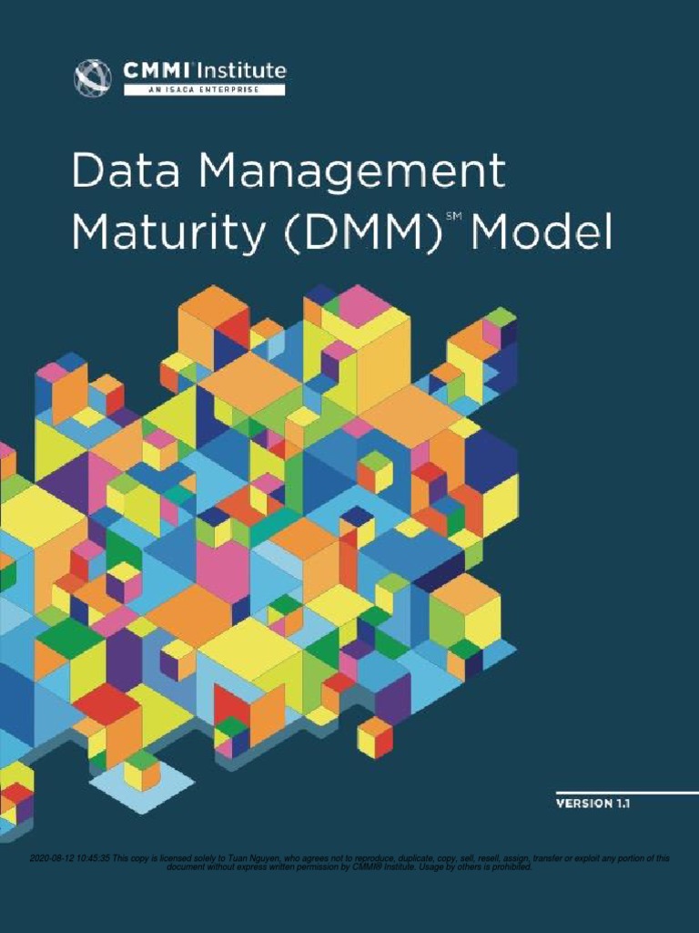 DMM Unlocked PDF Copyright Business