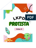 25 - LKPD 13