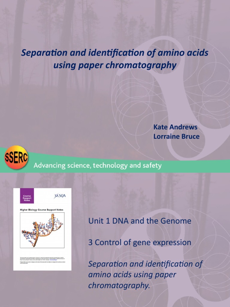 Amino Acid Chromatography PDF Chromatography Proteins