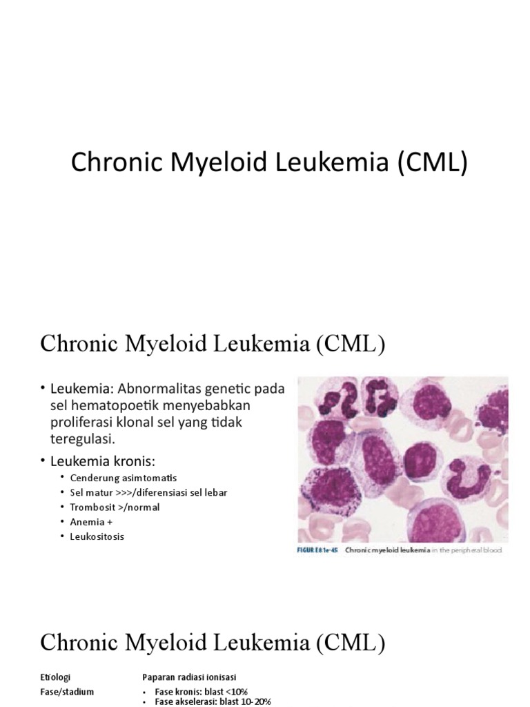 Fase dan Terapi Chronic Myeloid Leukemia | PDF
