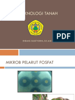 Bioteknologi TANAH 2 MIKROB PELARUT P