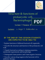 Structure & Functions of Prokaryotic Cell. Bacteriophages.: Lecturer: - Sergei V. Redkozubov