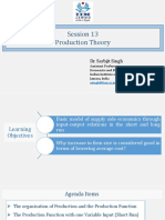 Session 13 Production Theory