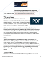 Tetrameriasis in Chickens