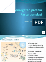 Penargetan Protein Pasca Translasi - Yantirta