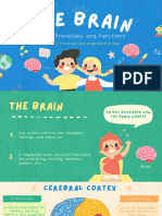 The Brain: Parts, Processes, and Functions