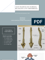 Anatomi Radiologi Vertebrae