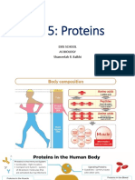 18% Bodies Made Proteins