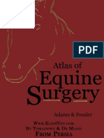 Atlas of Equine Surgery - Adams & Fessler (2)