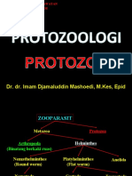 Protozoa 1