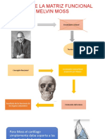 Teoría matriz funcional Moss crecimiento cráneo