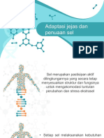 Adaptasi Jejas Dan Penuaan Sel