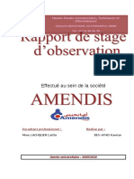 Rapport Amendis 1 PDF Free