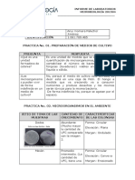 Formato de Entrega Laboratorios Microbiología 2021 (16-04)