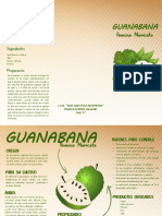 Triptico Guanabana