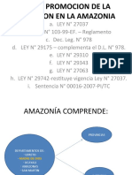 LeyPromocionInversionAmazonia