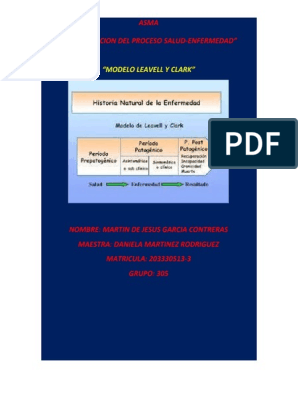 IDENTIFICACION DEL PROCESO SALUD Rubrica 5 | PDF | Asma | Salud pública