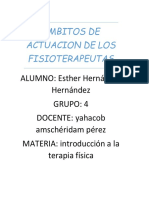 Ambitos de Actuacion de Los Fisioterapeutas