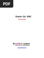 RAC12c Theory Guide v8.0