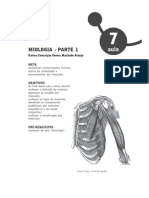 Resumo de Anatomia