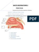 practicas respiratorio 