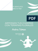 Armoniza Tus Chakras Con Terapias Florales