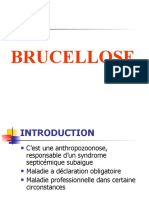 Brucellose