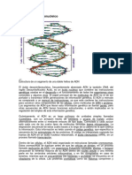 Biología Molecular