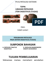 Topik: Perubahan Patologis Pada Sistem Digestivus (Tugas)