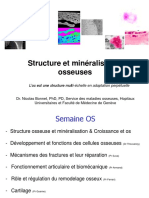 1 Structure Et Mineralisation