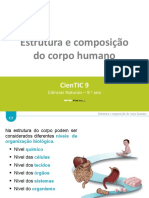 Estrutura Humana