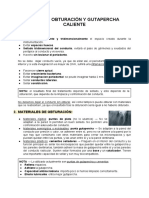 ✔ 21. Obturación y gutapercha caliente.