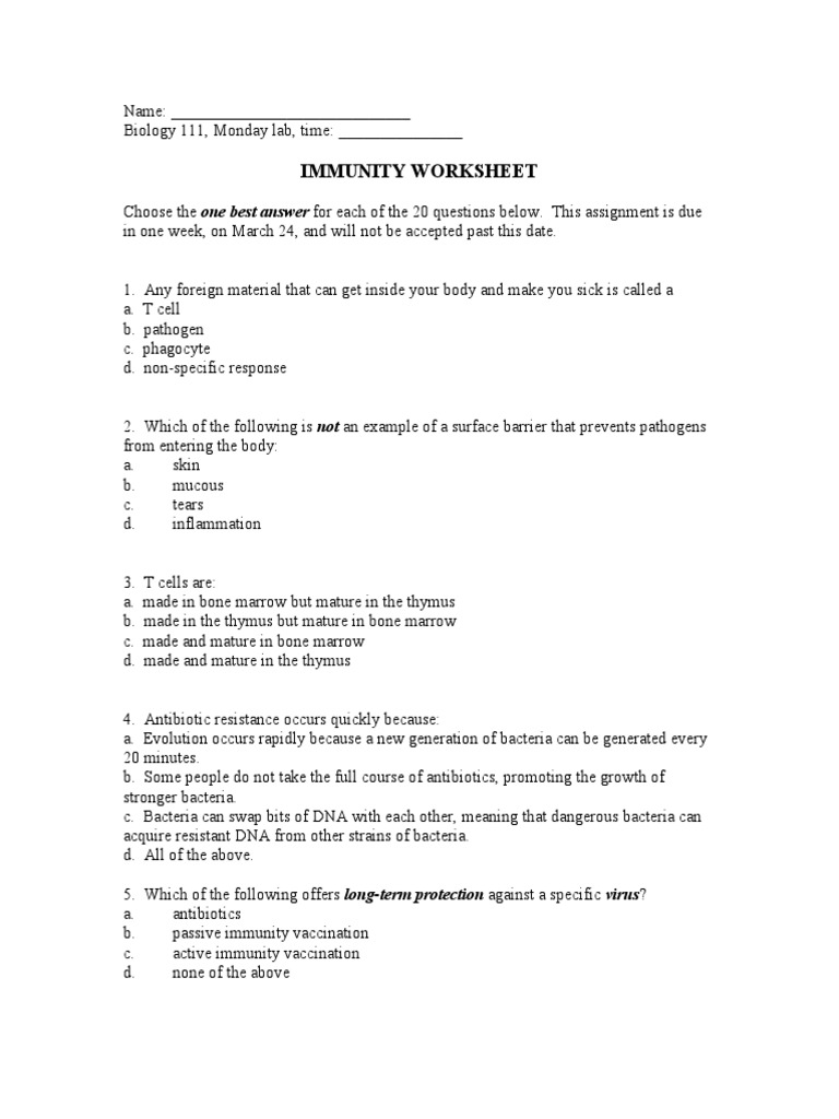 Immunity Worksheet | PDF | Immune System | Innate Immune System