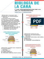 Embriologia de La Cara