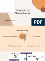 Clases Interactivas, 2,3 Bifosfoglicerato hasta Gluconeogenesis