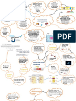 Mapa Mental Tema 4 y 5 - Fisiologia I