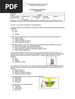Prueba de La Fotosintesis