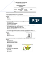 La fotosíntesis: proceso vital en las plantas