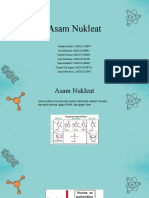 Asam Nukleat