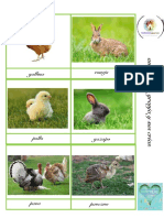 Animales de Granja