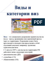 Виды и Категории Виз