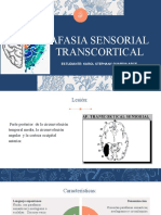 Afasia Transcortical Sensorial