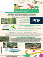 infografia recursos forestales