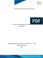 Formato Informe de Laboratorio - Instrumentación