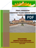 PROFIL Dinkes 2015 Tulang Bawang Barat