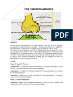 Sinapsis y Neurotrasmisores